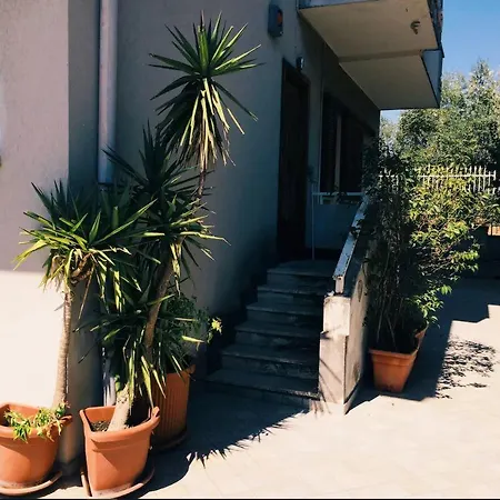 Violet Dreams Guest house